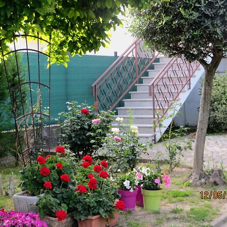 5 Palme Bed & Breakfast Terzo d' Aquileia Luaran gambar