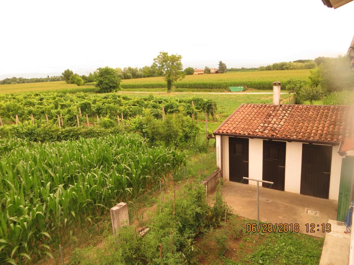 5 Palme Bed & Breakfast Terzo d' Aquileia Luaran gambar