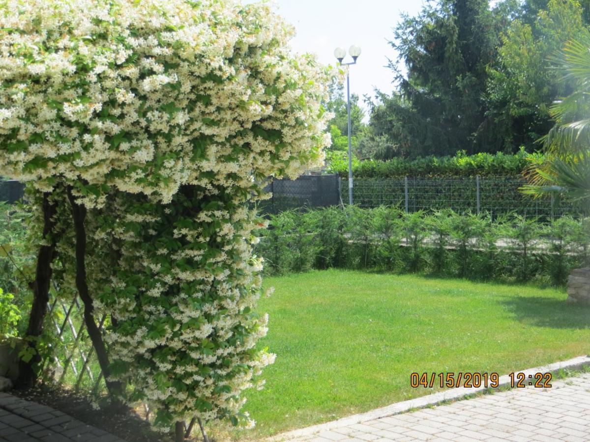 5 Palme Bed & Breakfast Terzo d' Aquileia Luaran gambar