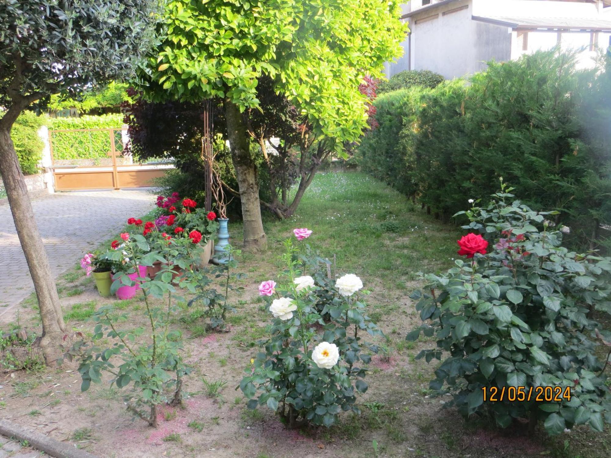 5 Palme Bed & Breakfast Terzo d' Aquileia Luaran gambar