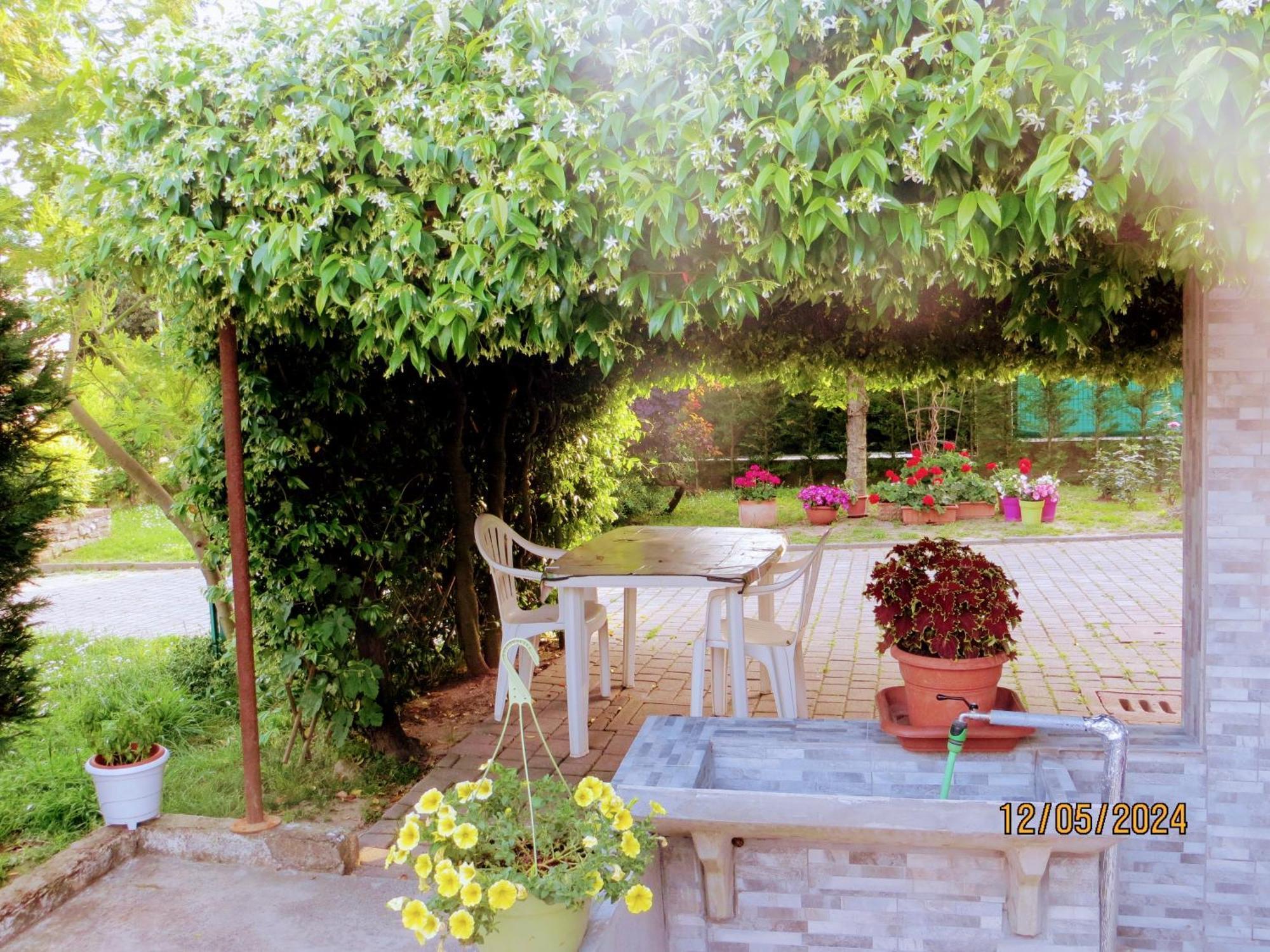 5 Palme Bed & Breakfast Terzo d' Aquileia Luaran gambar